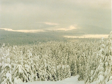 24 Der oberharz 1988.jpg